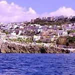 Enea