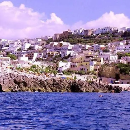 Enea